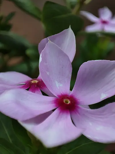 Photograph by Prakrisht Dahiya